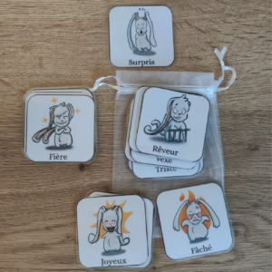 Le memory des émotions