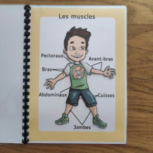 Le corps humain